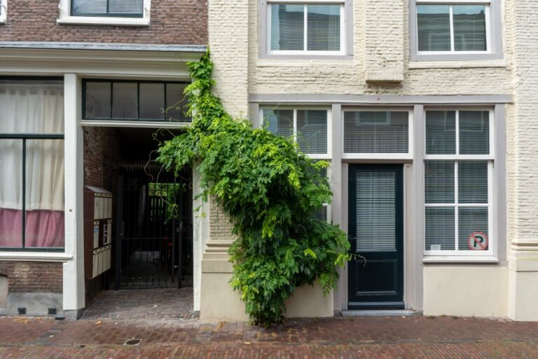 Begrünung an einem Haus im Zentrum von Utrecht