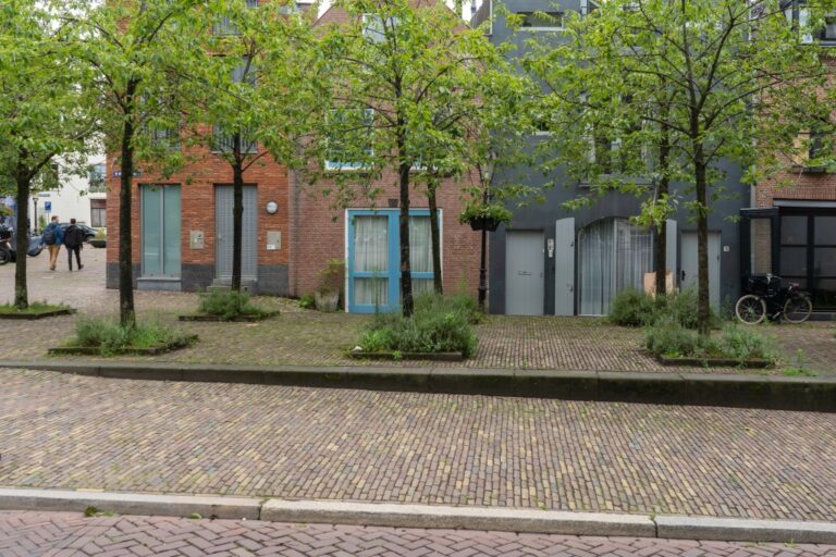 Bäume vor kleinen Häusern in Utrecht, Straße, Klinkerpflaster