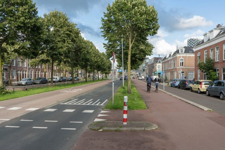 Straße in Utrecht, Radweg, Busspur, Bäume, parkende Autos, niedrige Häuser