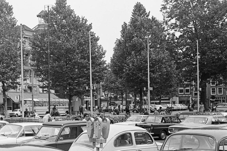 Parkplatz, Bäume
