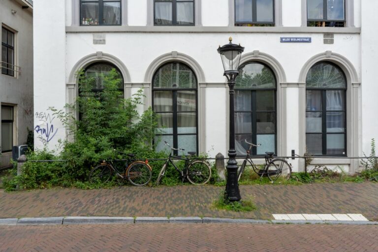 Straßenlaterne auf einem Gehsteig vor einem Haus mit abgerundeten Fenstern, Fahrräder, Pflanzen
