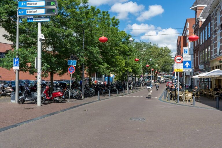 Straße in Den Haag mit Bäumen