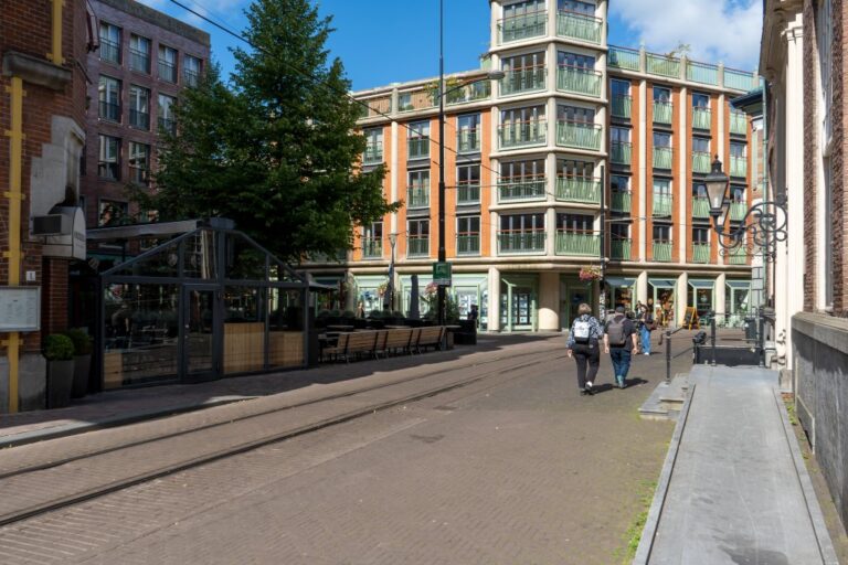 Den Haag, Leute, Häuser, Straßenbahnschienen, Baum