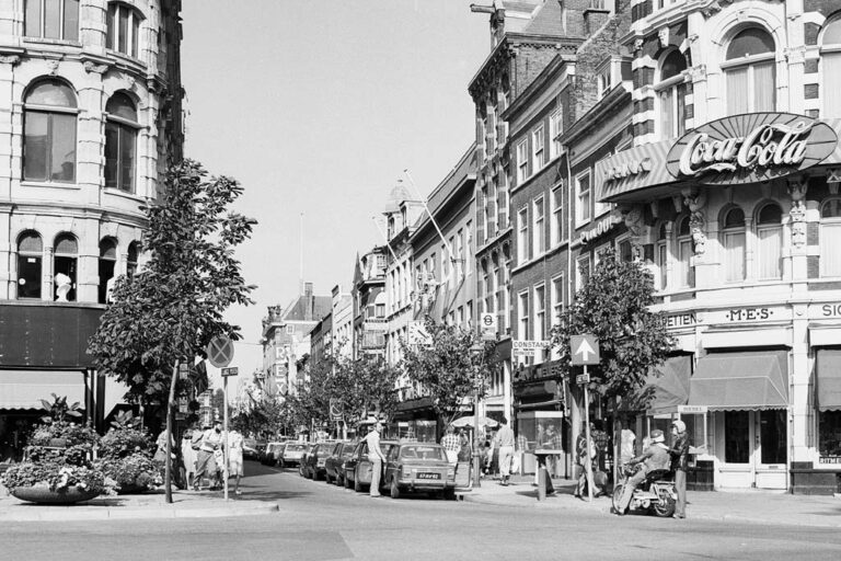 Straße in Den Haag mit Bäumen