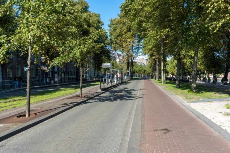Straße in Den Haag mit Bäumen, Radweg und Straßenbahnhaltestelle