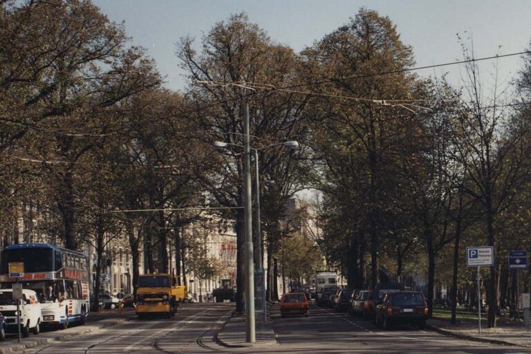 Straße in Den Haag mit vielen Bäumen