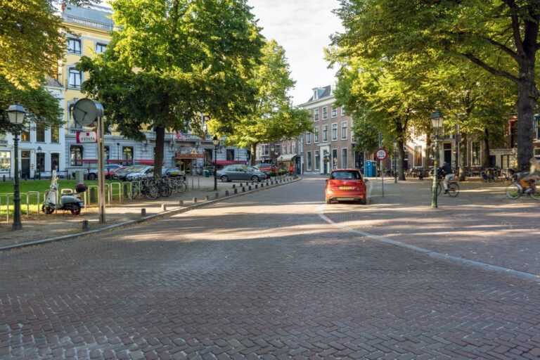 Straße, Bäume, Autos