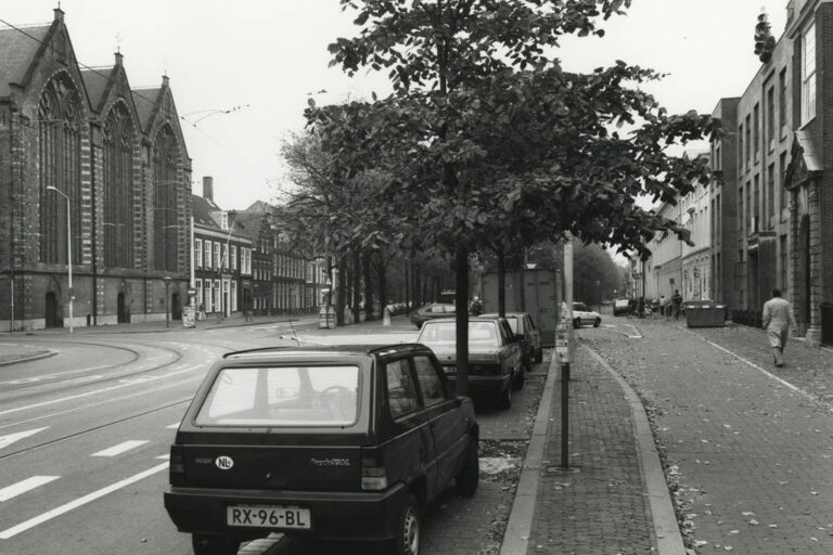 parkende Autos, Bäume, Straße