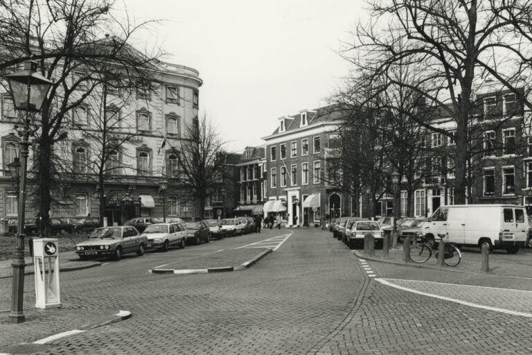 breite Straße in Den Haag, Bäume, parkende Autos, Gebäude