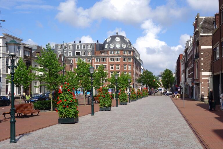 Straße mit Bäumen in Den Haag
