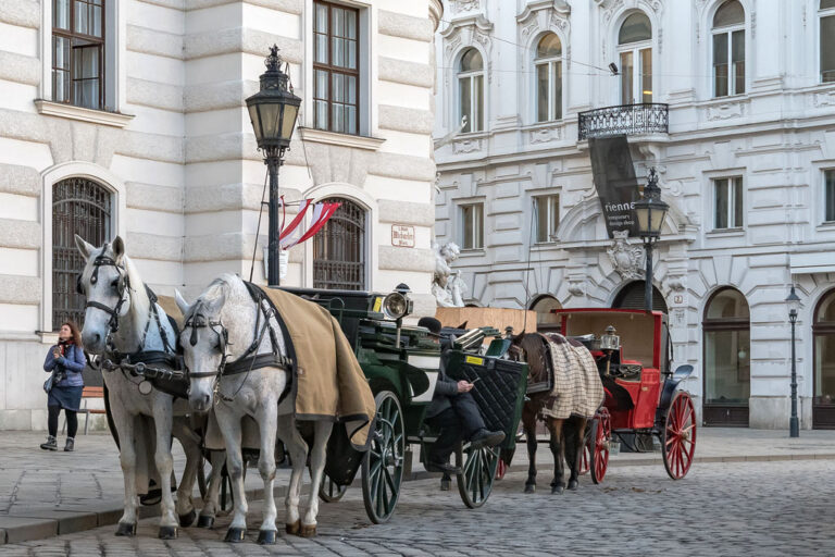 Fiaker vor der Hofburg am Michaelerplatz