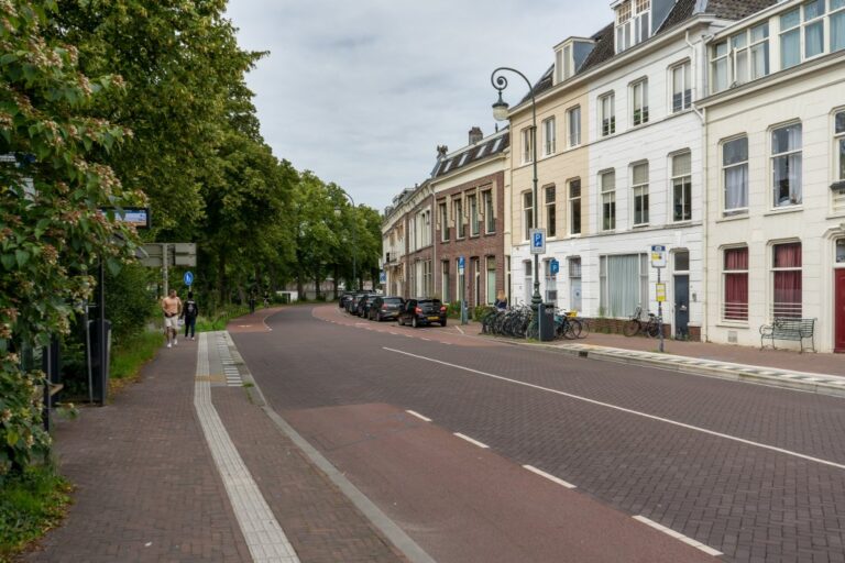 Straße in Utrecht, Bäume, Häuserzeile