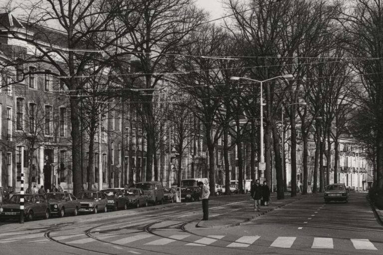 Straße in Den Haag mit vielen Bäumen