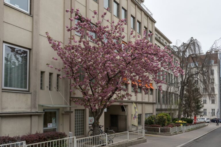 Gebäude in der Plößlgasse 13