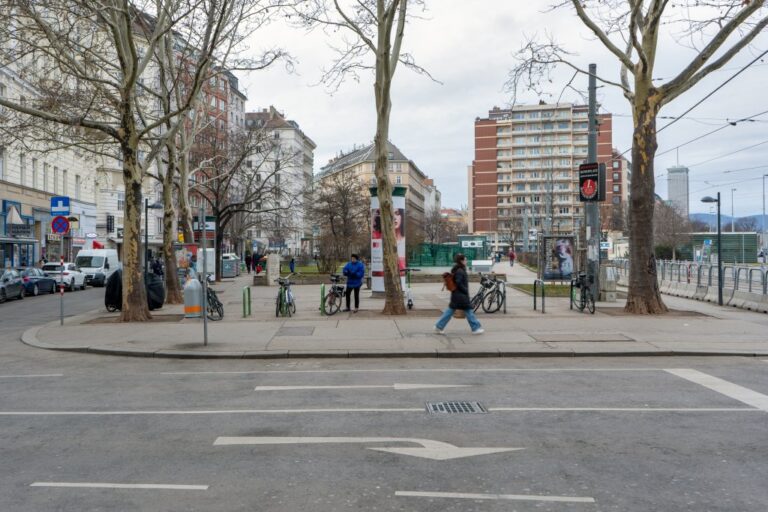 Straße, Bäume, Häuser, Wien