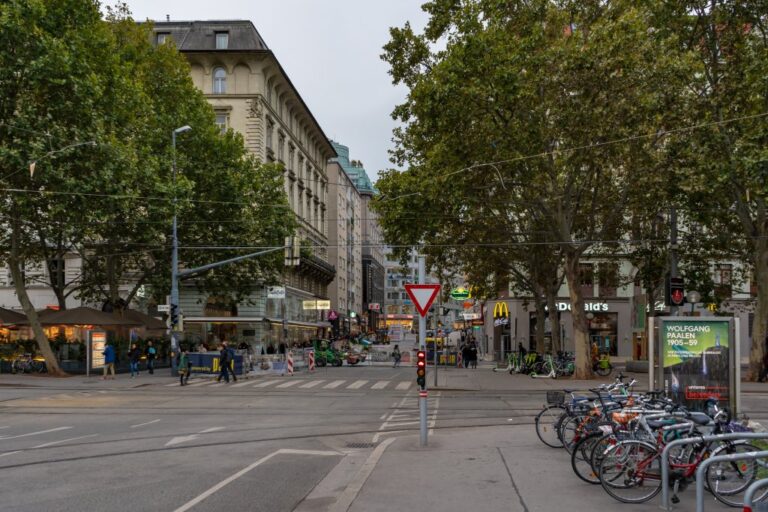 Straße in Wien, Bäume, Räder, Ampel