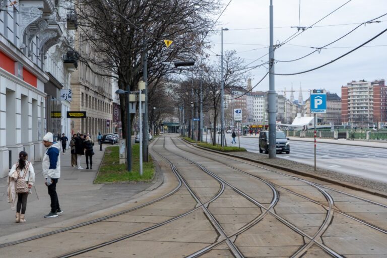 Schienen zwischen einem Gehsteig und einer Fahrbahn, Bäume, Leute, Wien