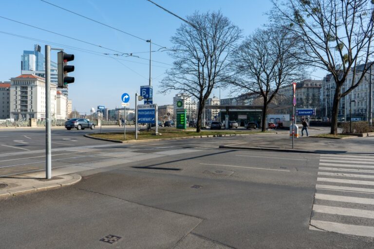 Straße, Zebrastreifen, Bäume, Ampel