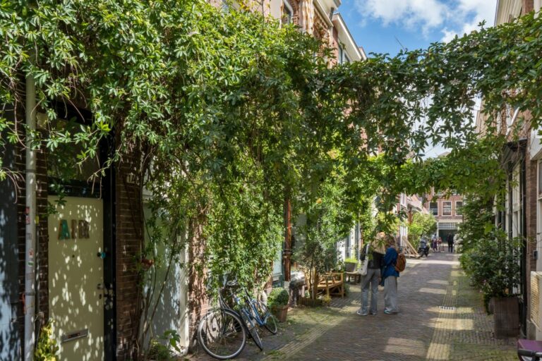 Gasse mit Begrünung in den Niederlanden