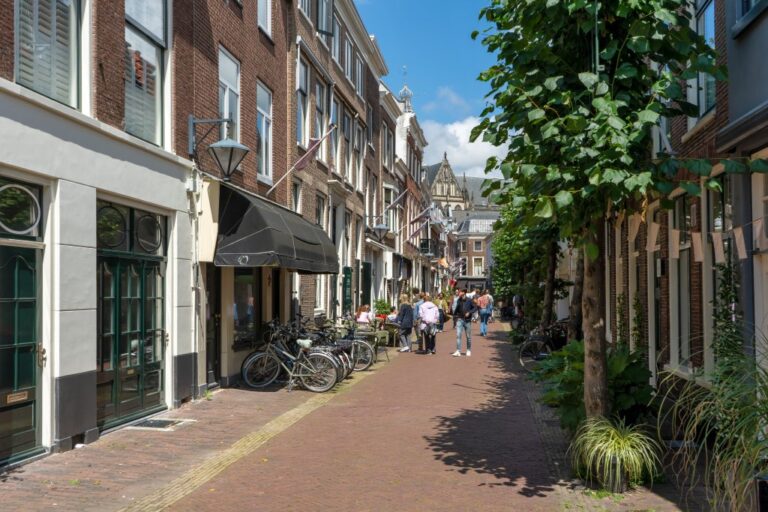 Gasse im Zentrum von Haarlem, Leute, Bäume, schmale Häuser