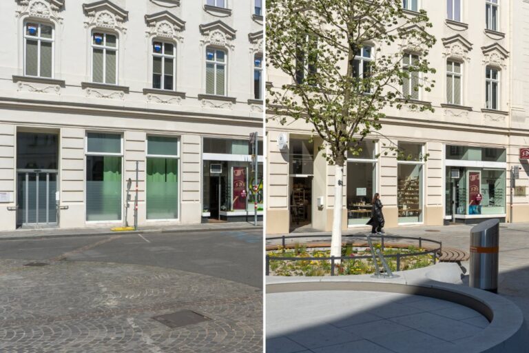 Altgasse, Gründerzeithaus, Baum, Mistkübel, Brunnen