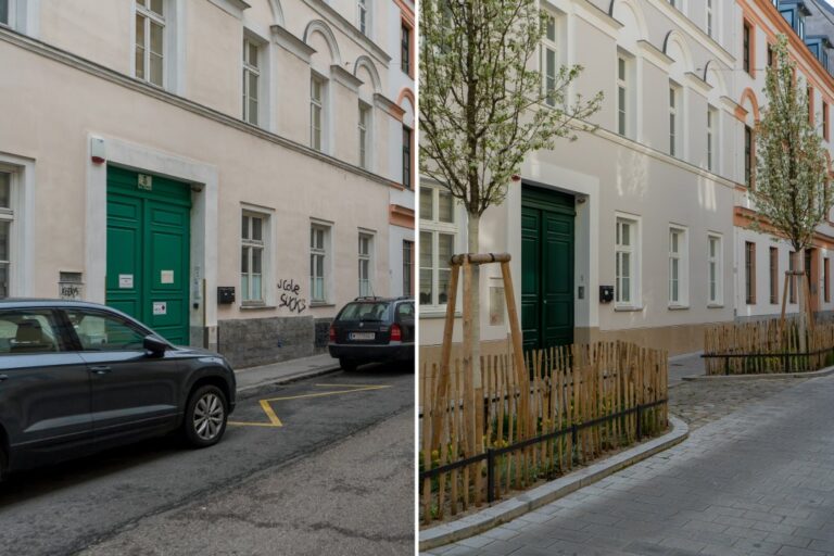 links parkende Autos, rechts Bäume, alte Häuser, Wien