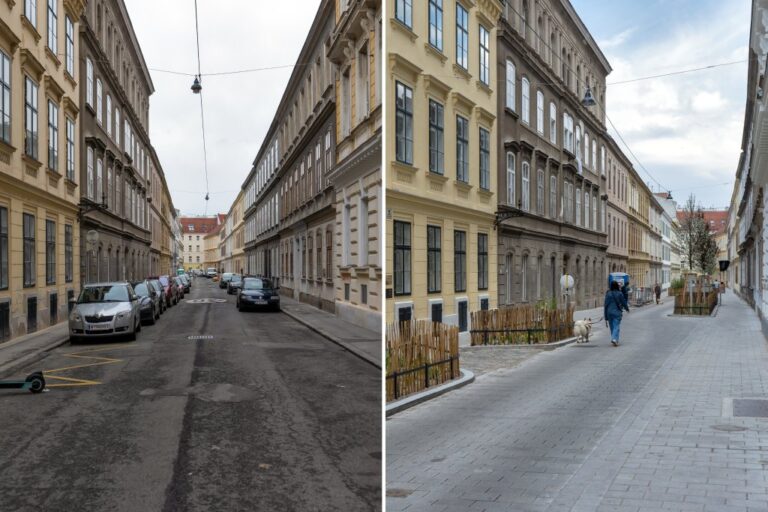 links parkende Autos, Asphalt, rechts Spaziergängerin mit Hund, Bäume, alte Häuser, gepflasterte Straße