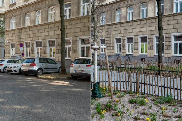 links Foto von parkenden Autos vor einem Altbau, rechts Grünflächen und Bäume vor demselben Altbau