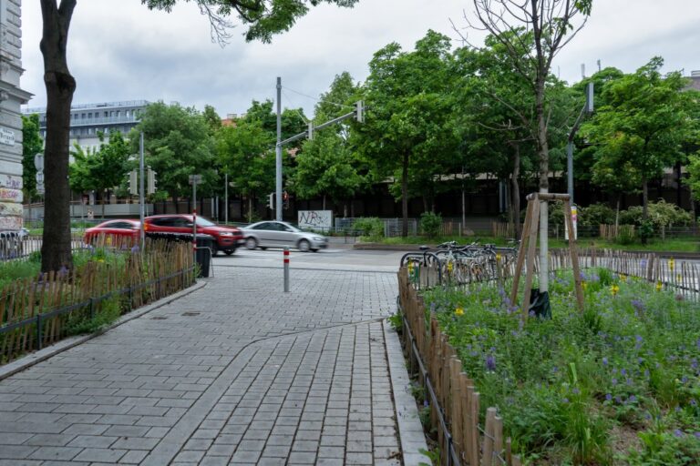 Autos fahren an einer begrünten Wohnstraße vorbei