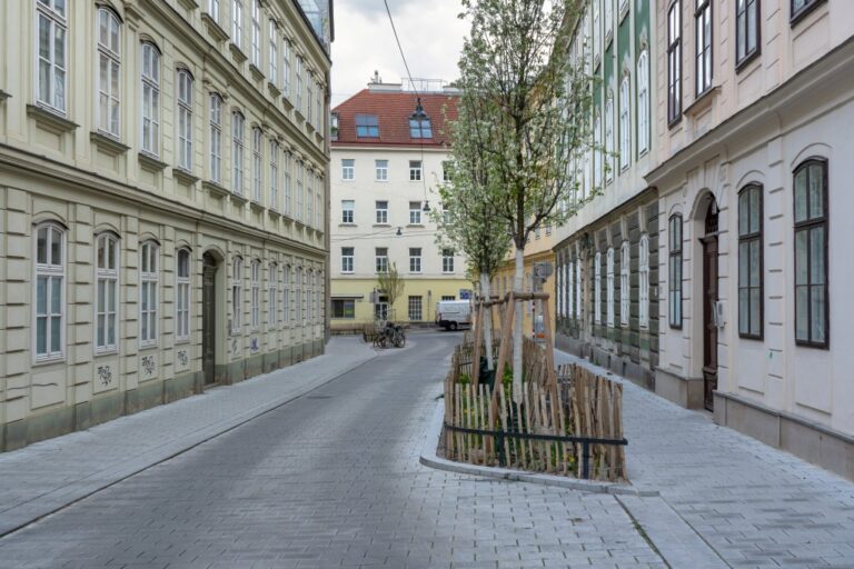 Gasse mit Bäumen, alten Häusern und gepflasterter Oberfläche