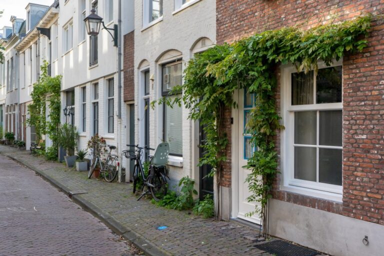 Pflanzen vor einem Haus, Fassadenbegrünung