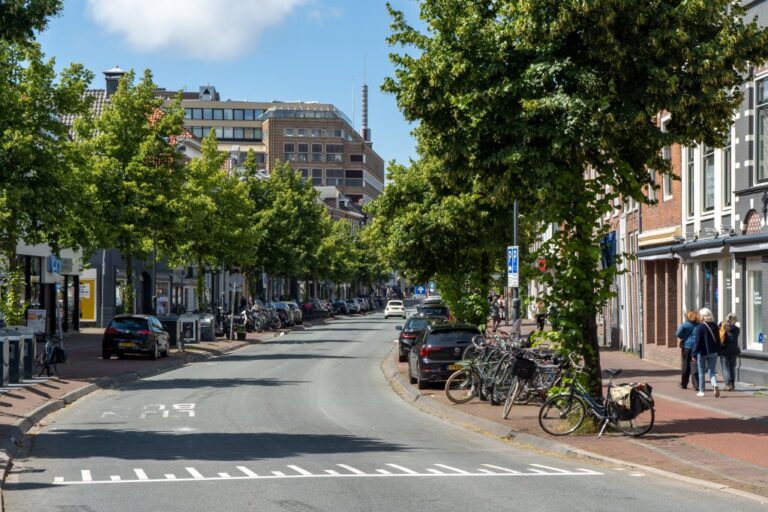 Straße mit Allee in Haarlem