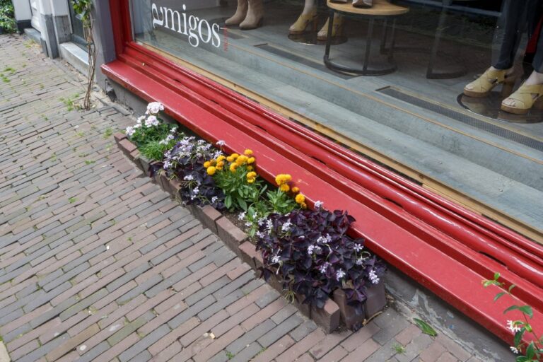 Blumenbeet vor einem Schaufenster