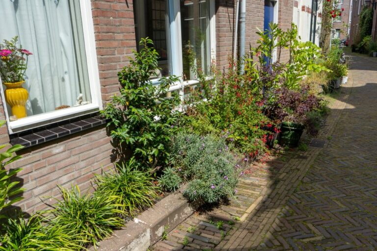 Pflanzstreifen an einer Hauswand in Haarlem
