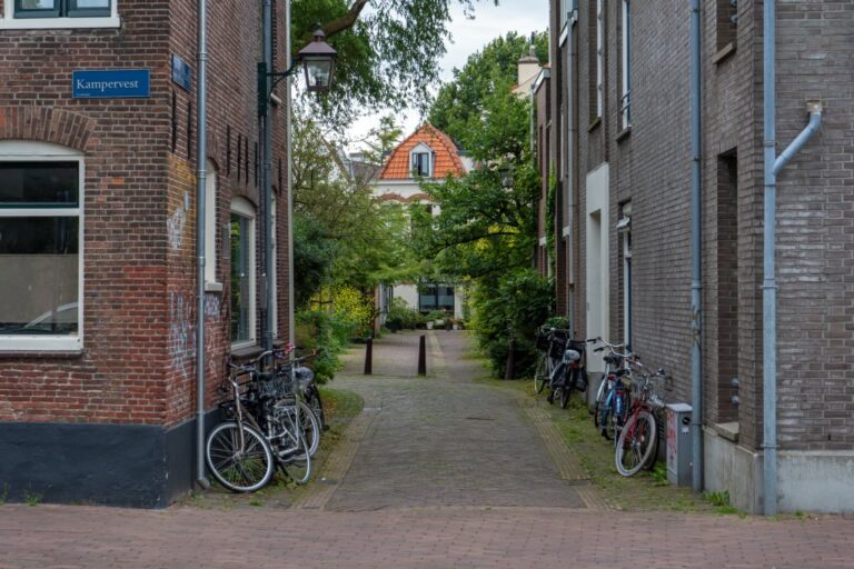 Fahrräder lehnen an Hauswänden, Gasse in Haarlem, Pflanzen