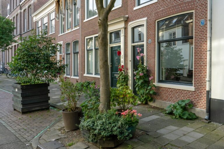 Pflanzen vor Häusern in Haarlem