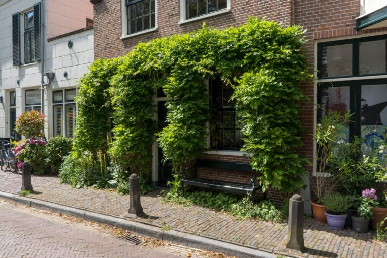 Fassandenbegrünung in Haarlem