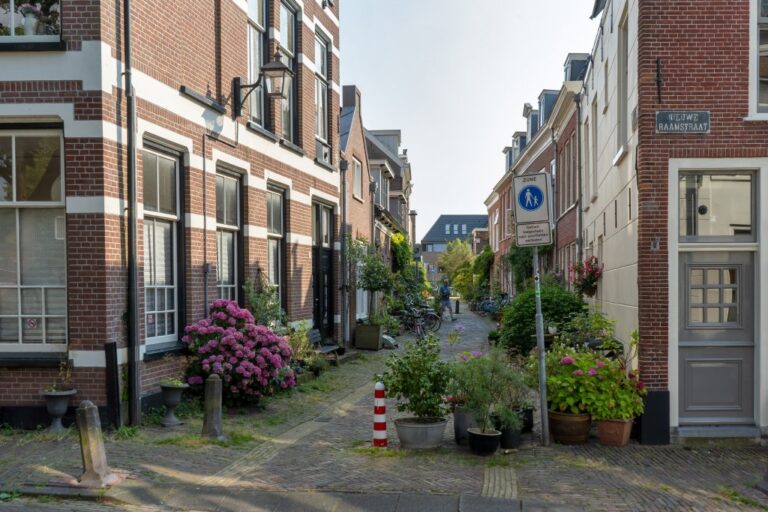 Gasse mit vielen Pflanzen und Backsteinhäusern