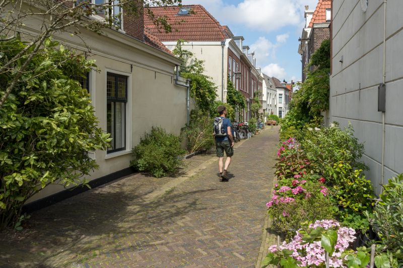 Mehr über den Artikel erfahren Grünes Haarlem