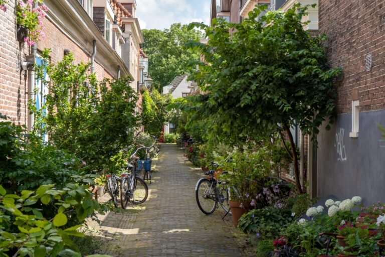 Gasse mit Pflanzen und Fahrrädern