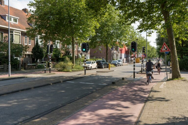 Straße mit Bäumen und Radwegen in den Niederlanden
