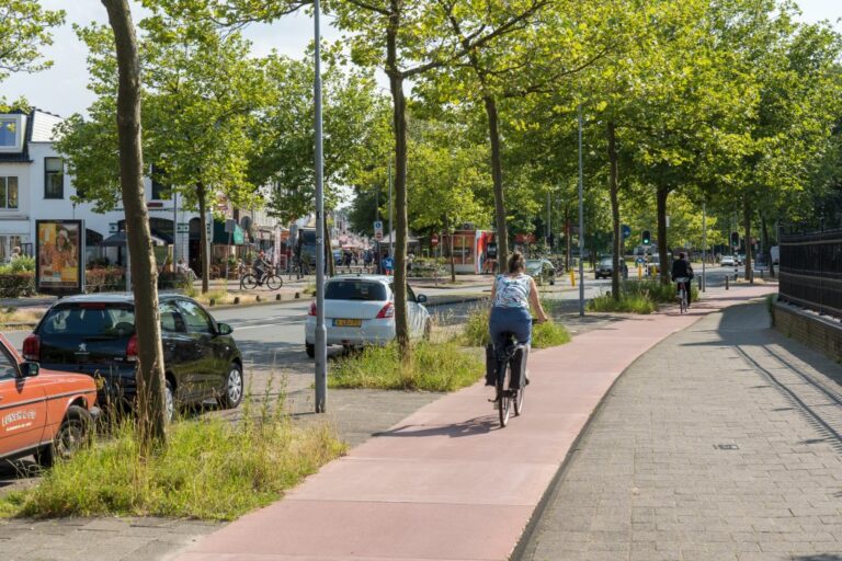 Frau fährt mit dem Rad auf einem Radweg neben einer Straße, Bäume, Gehsteig