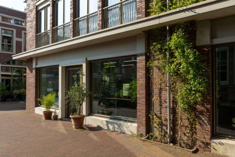 Pflanzen vor einem Haus, Fassadenbegrünung