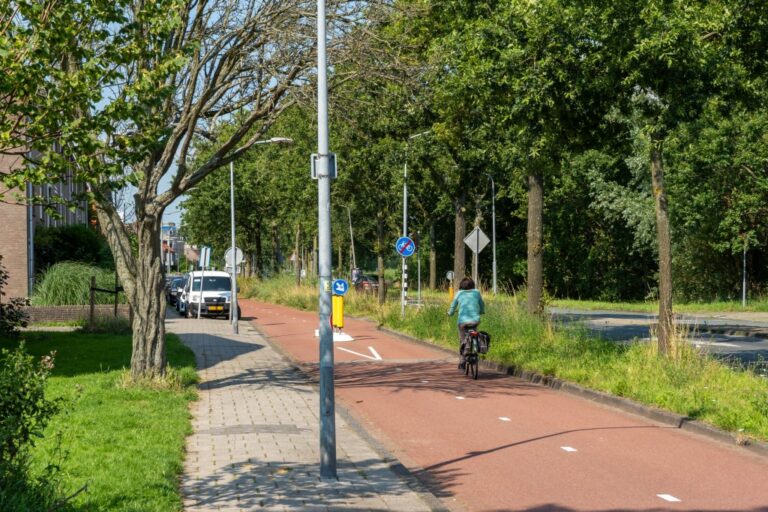 Radweg und Gehsteig neben einer Straße, Bäume