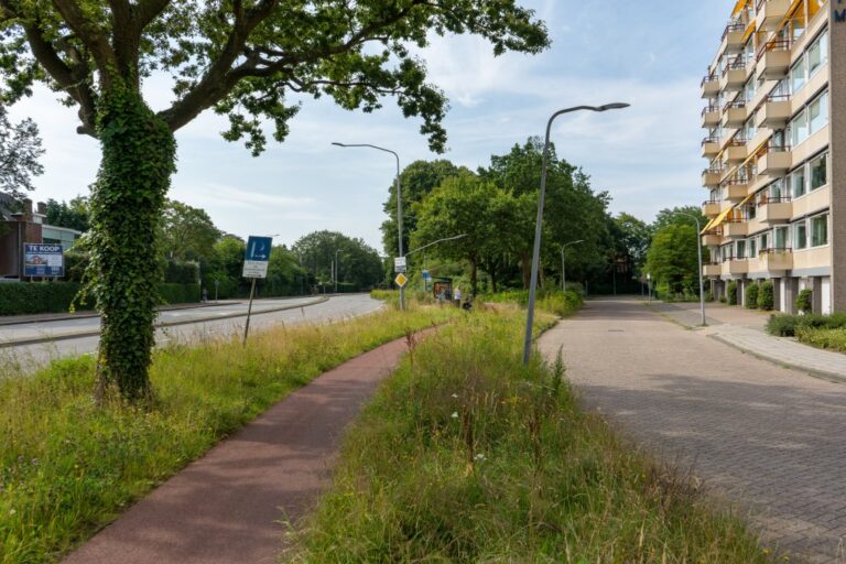Straße, Radweg, Wiesen